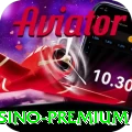 14pg Live Casino Premium
