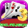 347luck - Gaming Premium