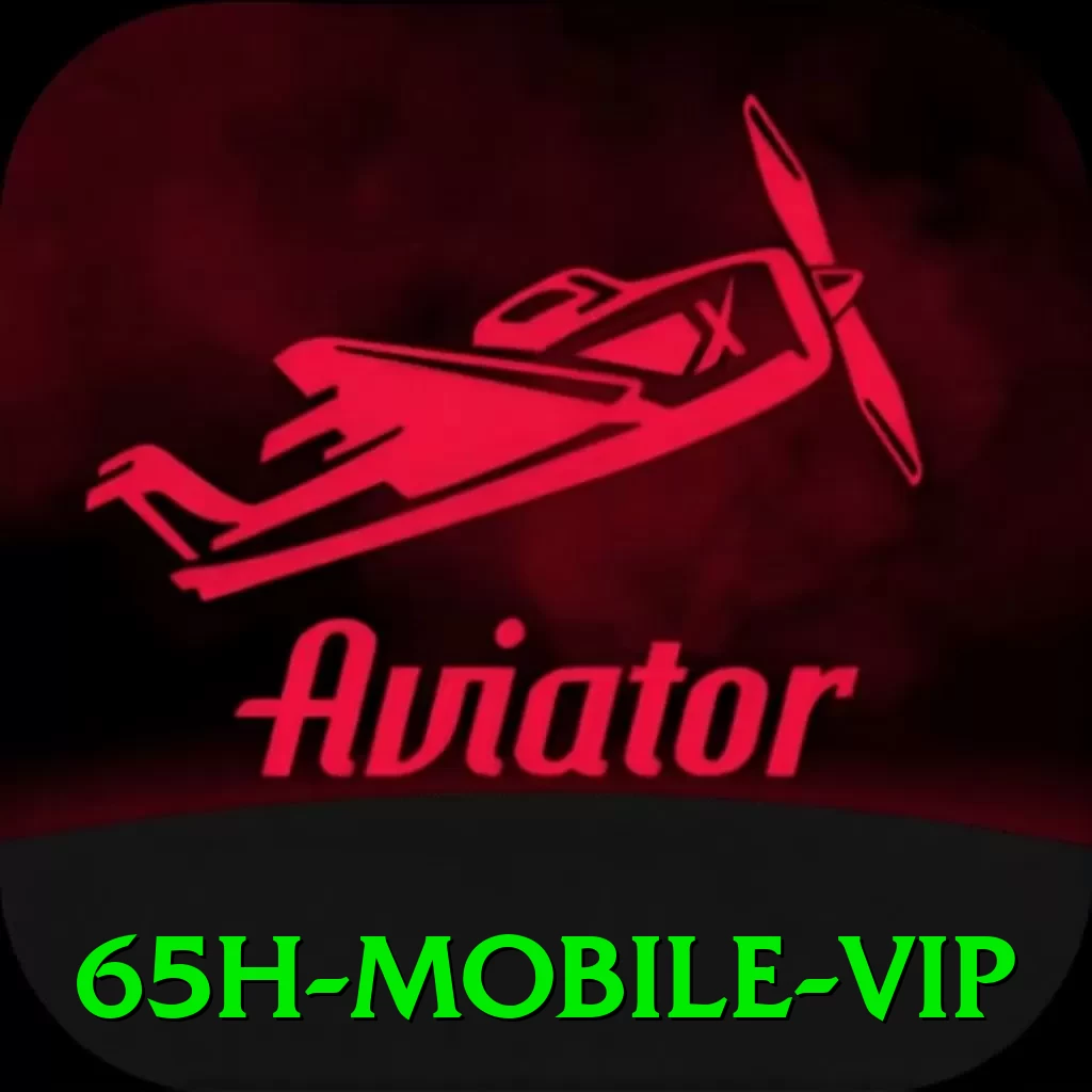 65h Mobile VIP - app